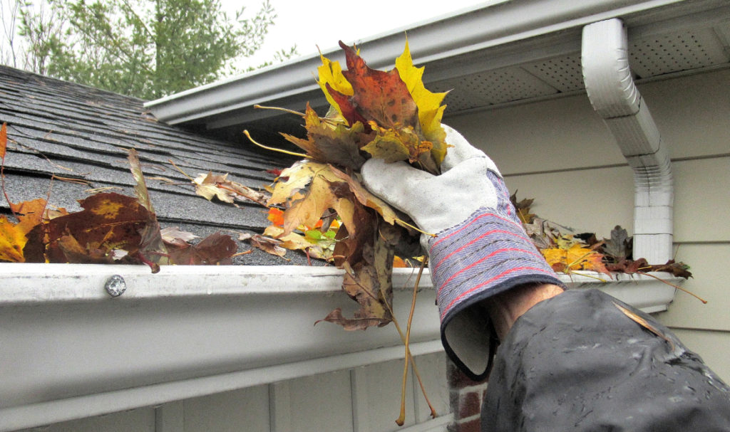 PDX Roofing and Siding professional cleaning gutters and inspecting roof edge on a Portland home