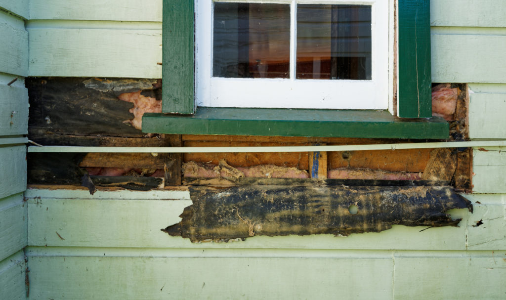 Damaged residential siding near a window on a Portland home showing early signs of moisture issues